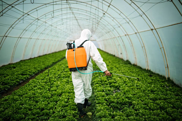 Best Pest Prevention Services  in Hazel Dell, WA