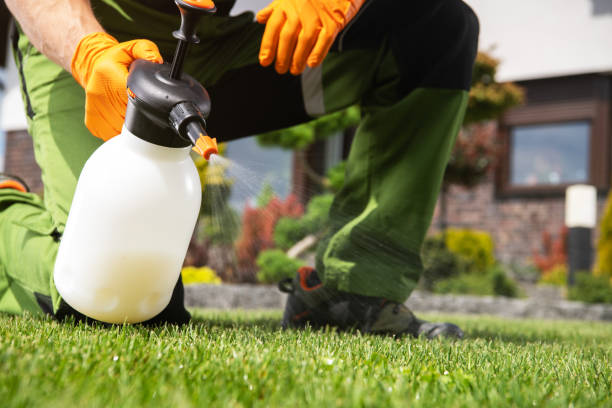 Insect Control in Hazel Dell, WA