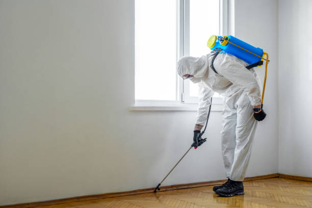 Best Wildlife Control Services  in Hazel Dell, WA