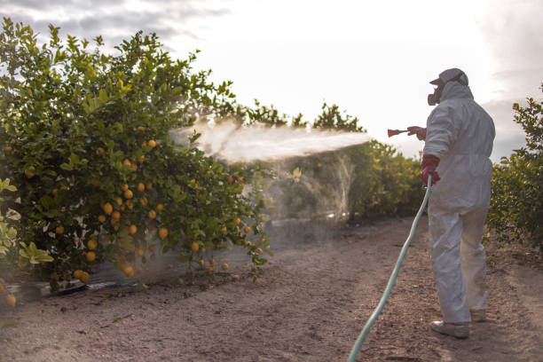 Best Best Pest Control Companies  in Hazel Dell, WA