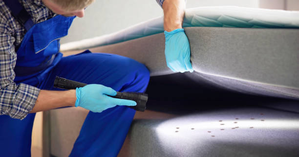 Best Affordable Pest Control Services  in Hazel Dell, WA