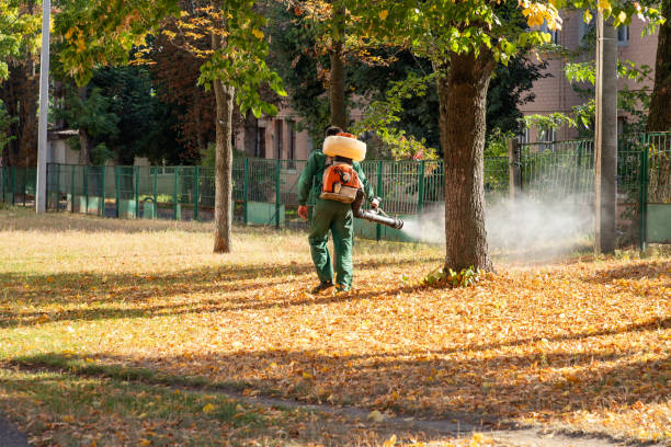 Best Pest Control Near Me in Hazel Dell, WA