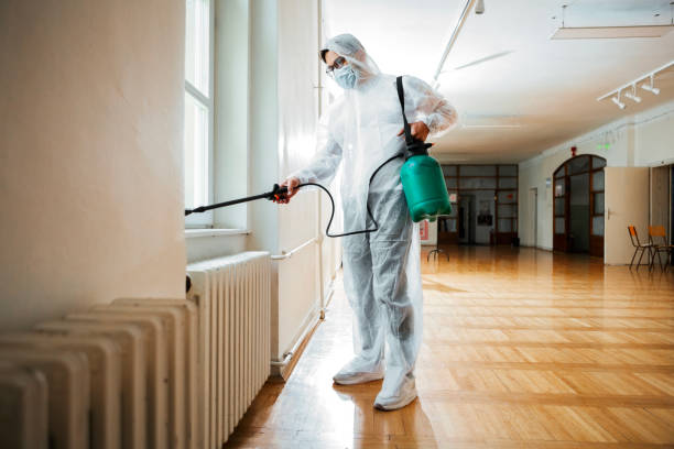 Best Wasp Removal Services  in Hazel Dell, WA