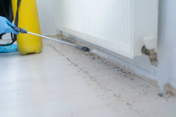 Best Bed Bug Extermination  in Hazel Dell, WA