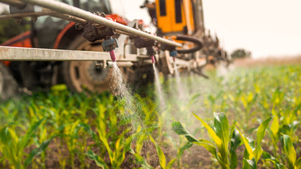 Best Ant Control Services  in Hazel Dell, WA